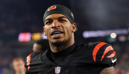 称赞不已 称赞不已