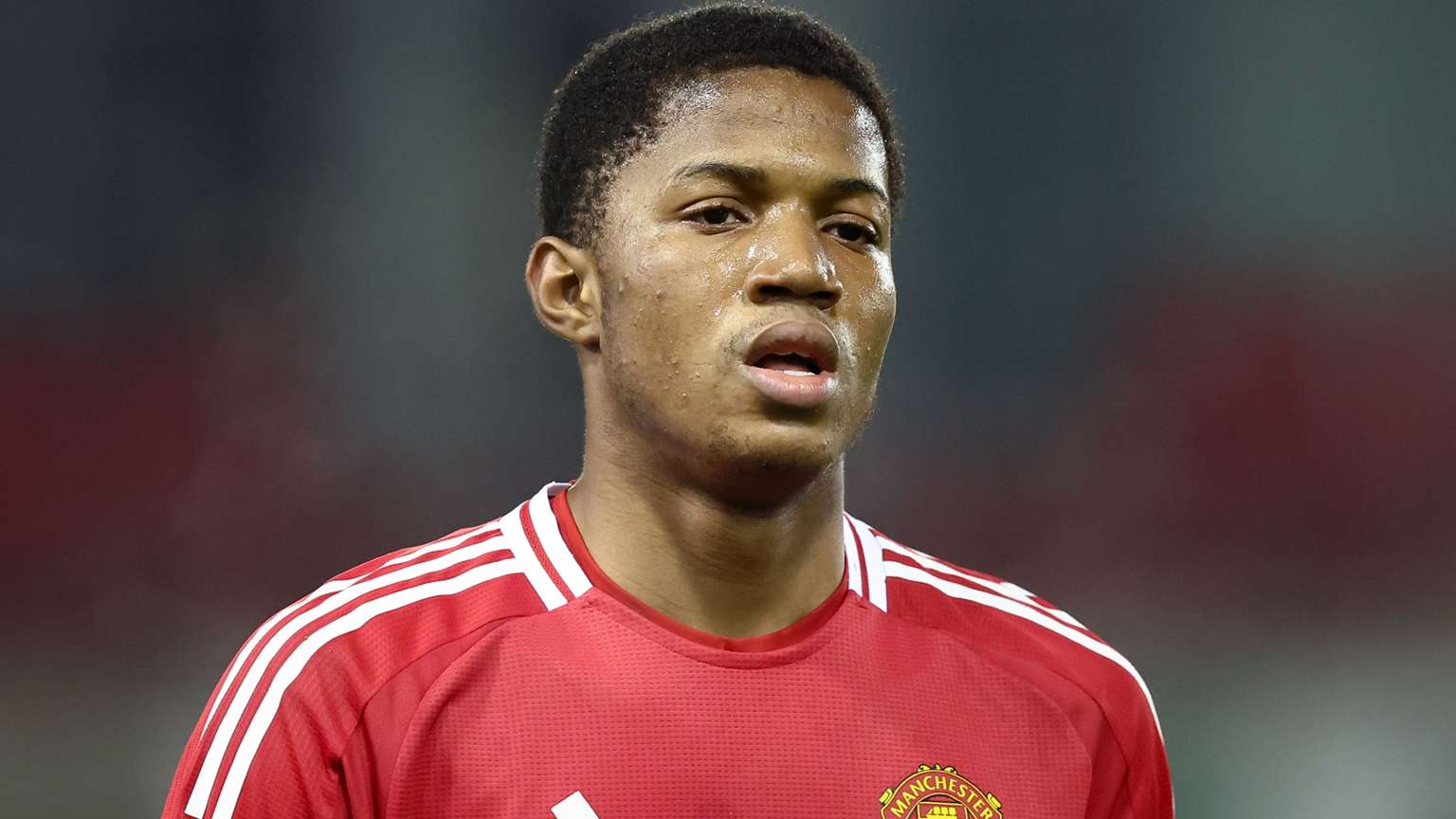 几乎以一己 几乎以一己