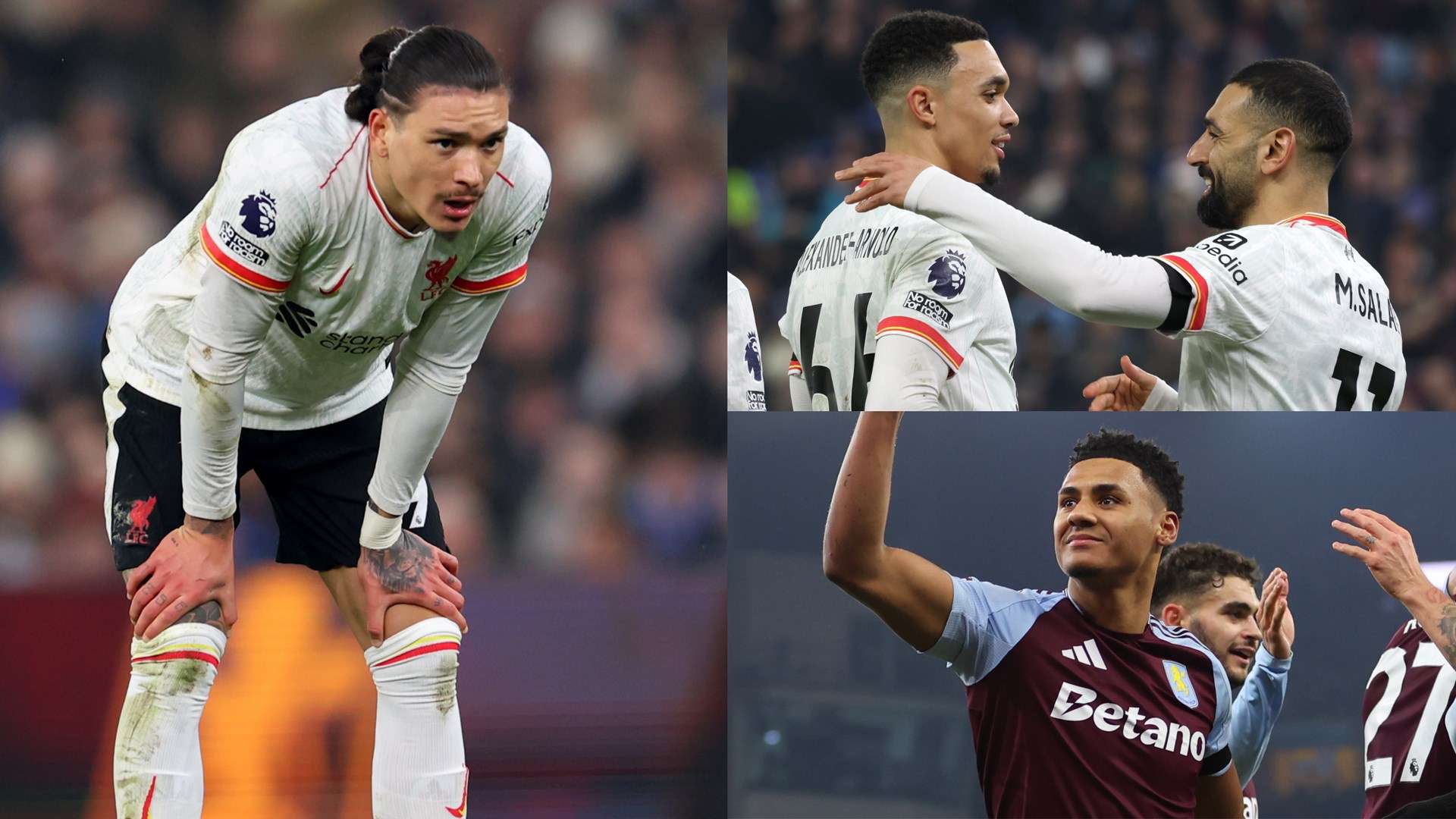 土化并重 土化并重